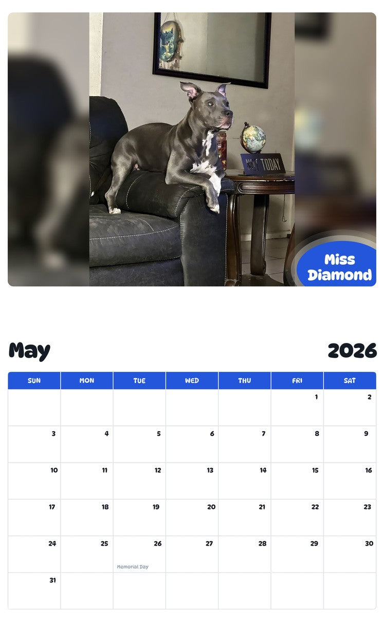 2026 - 2027 Miss Diamond - Pawidols Pet Calendar