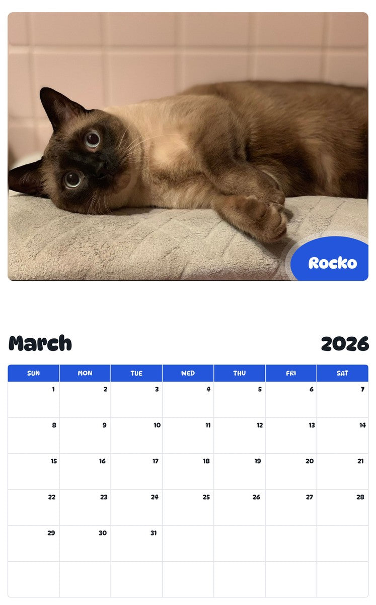 November 2025 - October 2026 Rocko - Pawidols Pet Calendar