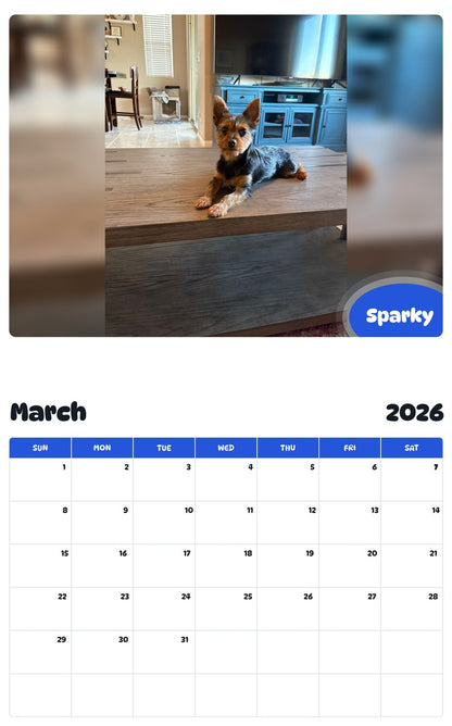 November 2025 - October 2026 Sparky - Pawidols Pet Calendar