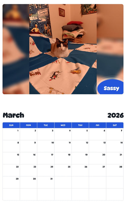 November 2025 - October 2026 Sassy - Pawidols Pet Calendar