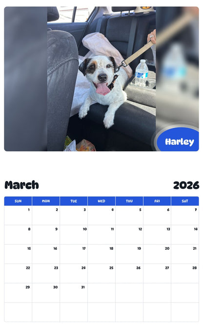 November 2025 - October 2026 Harley - Pawidols Pet Calendar