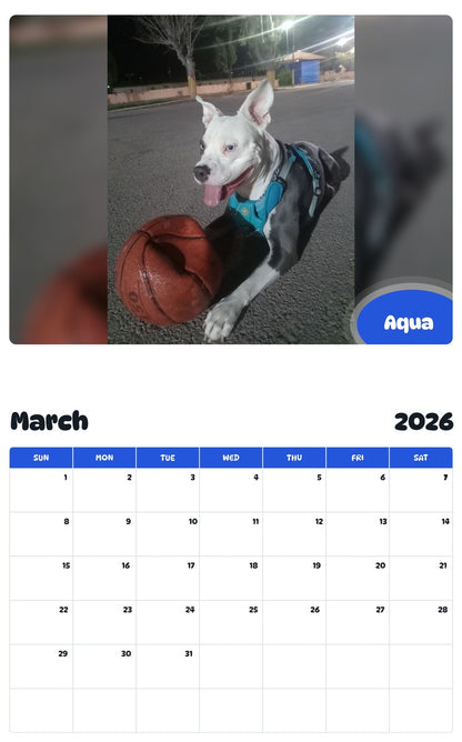 November 2025 - October 2026 Aqua - Pawidols Pet Calendar