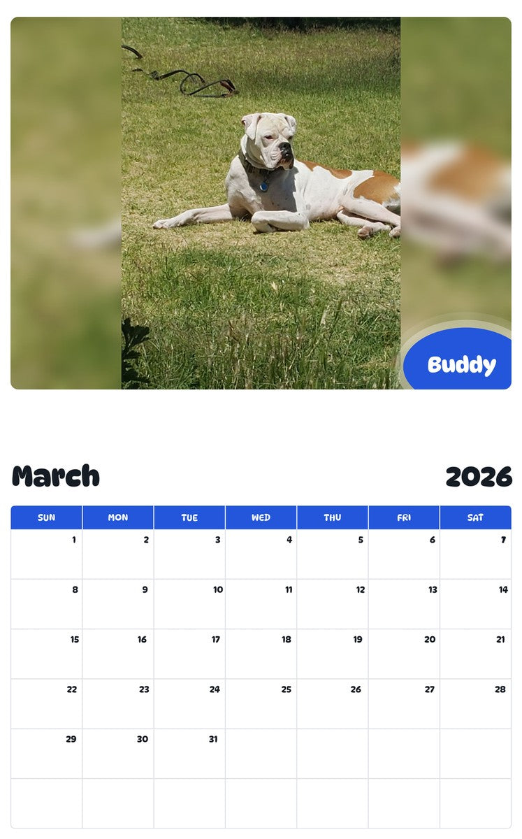 November 2025 - October 2026 Buddy - Pawidols Pet Calendar