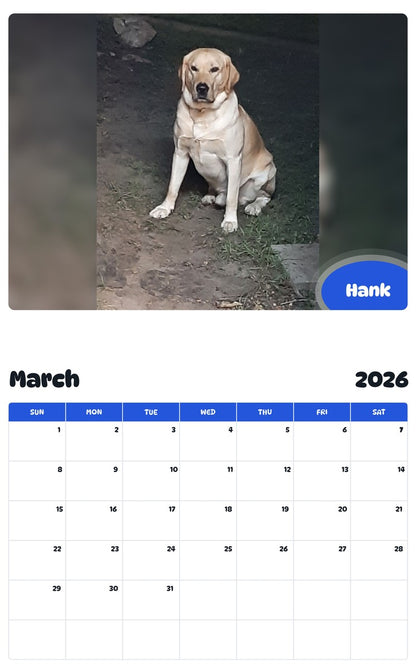 November 2025 - October 2026 Hank - Pawidols Pet Calendar