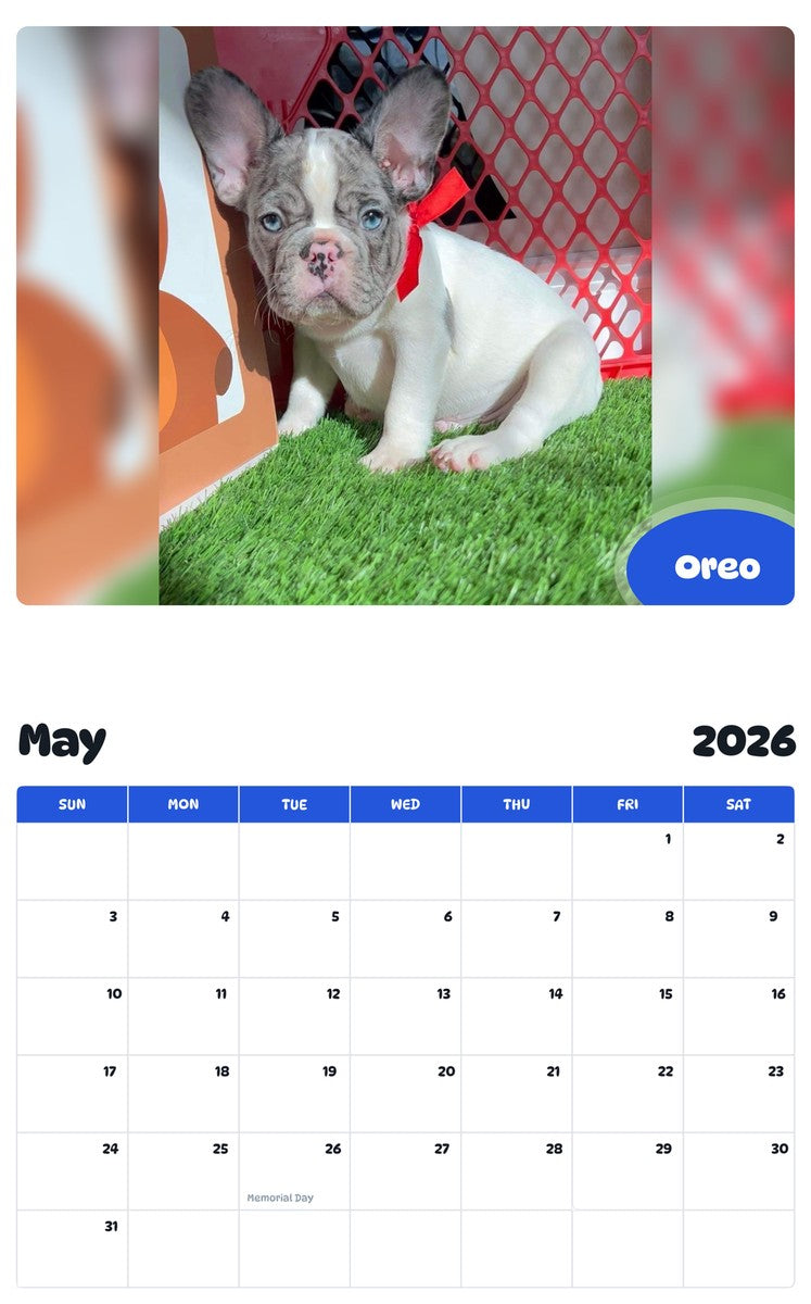 2026 - 2027 Oreo - Pawidols Pet Calendar