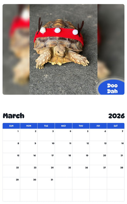 November 2025 - October 2026 Doo Dah - Pawidols Pet Calendar