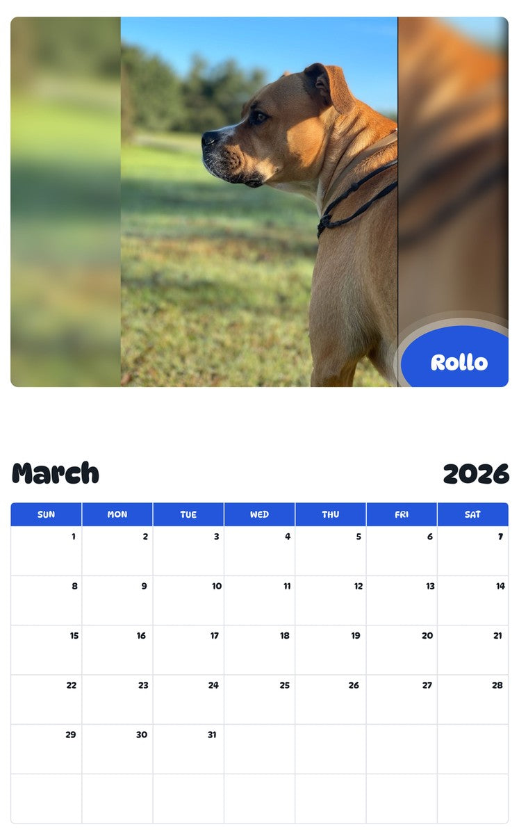 November 2025 - October 2026 Rollo - Pawidols Pet Calendar