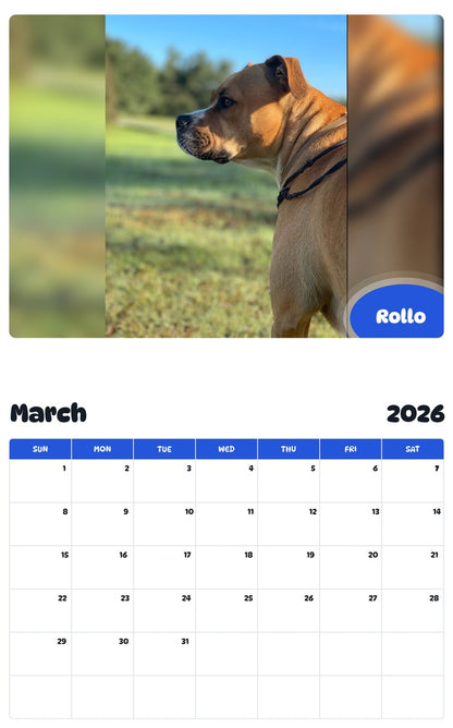 November 2025 - October 2026 Rollo - Pawidols Pet Calendar