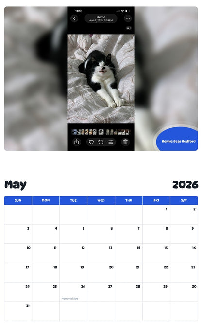 2026 - 2027 Bernie Bear Bedford - Pawidols Pet Calendar