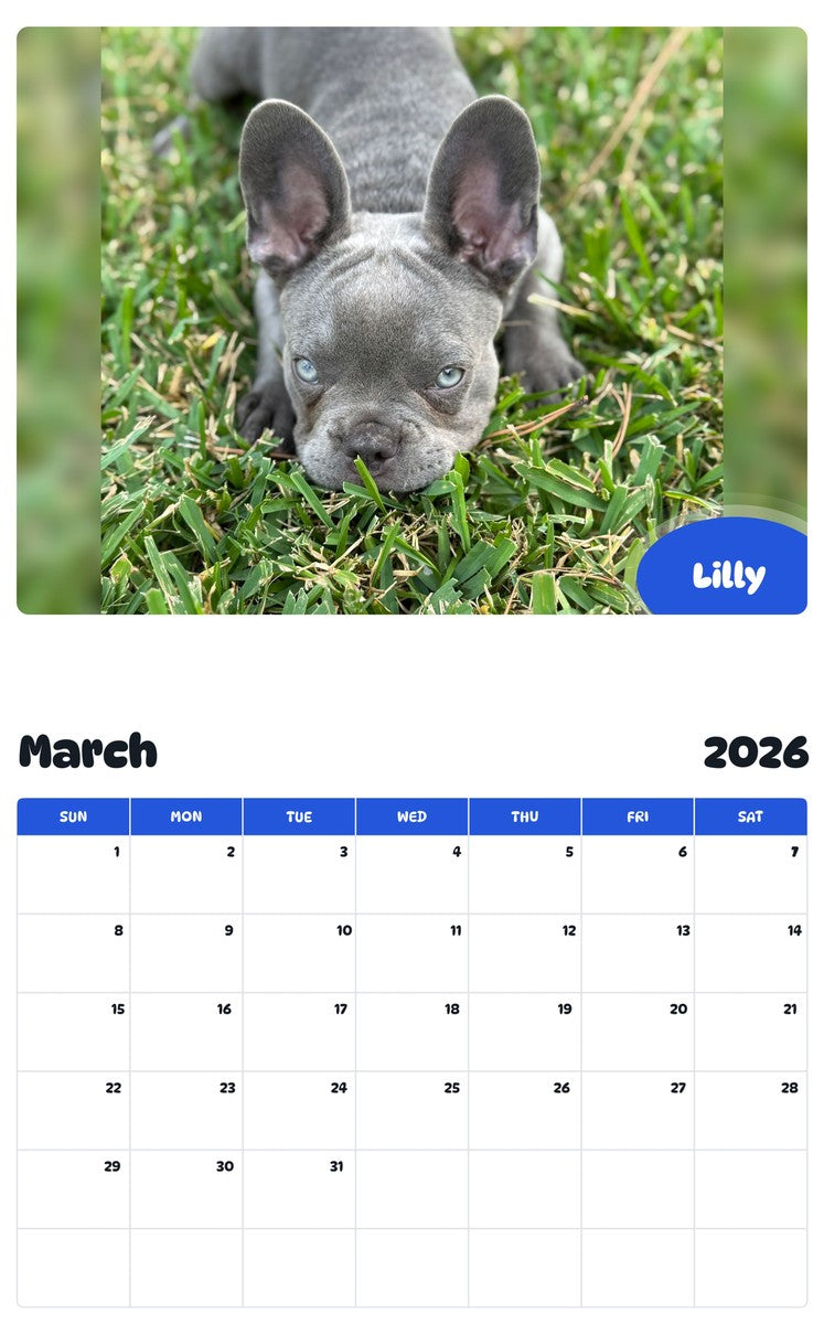 November 2025 - October 2026 Lilly - Pawidols Pet Calendar
