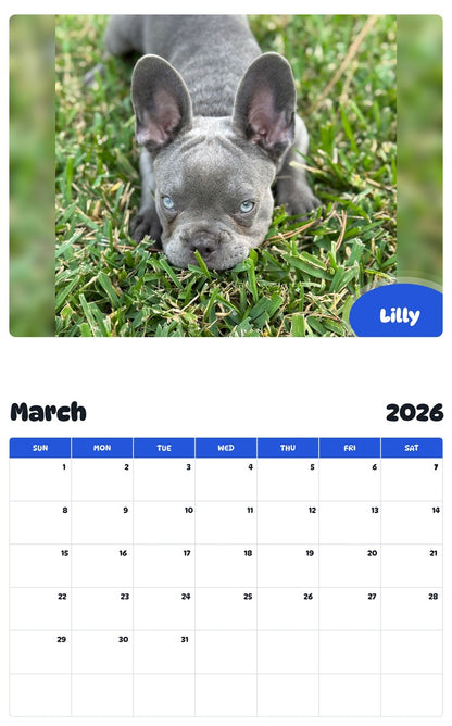 November 2025 - October 2026 Lilly - Pawidols Pet Calendar