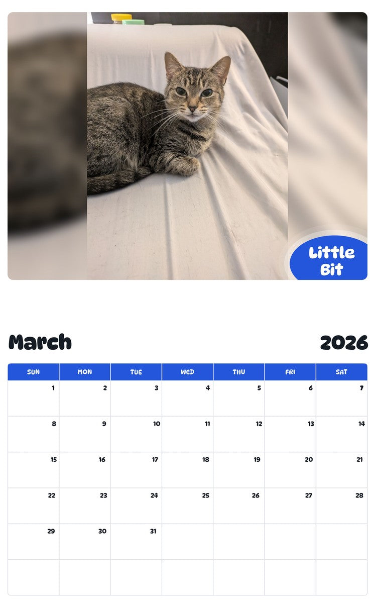 November 2025 - October 2026 Little Bit - Pawidols Pet Calendar