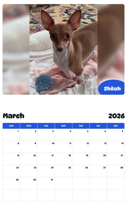 November 2025 - October 2026 Shiloh - Pawidols Pet Calendar