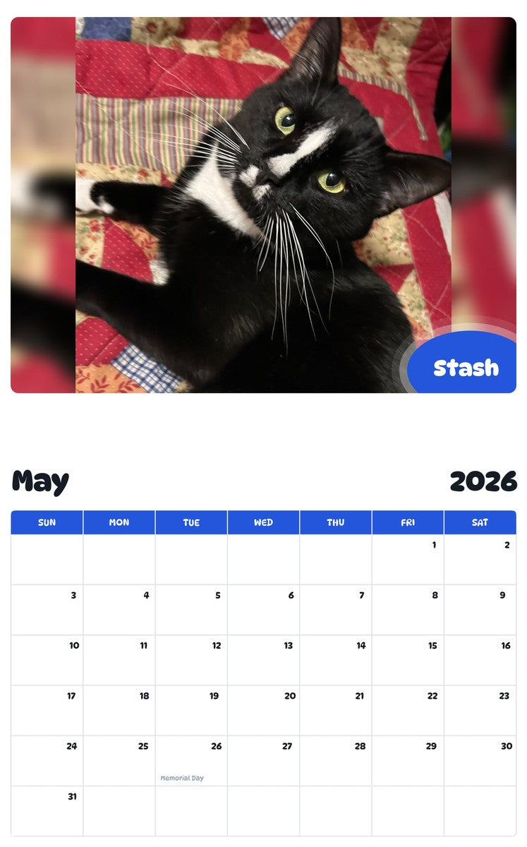 2026 - 2027 Stash - Pawidols Pet Calendar