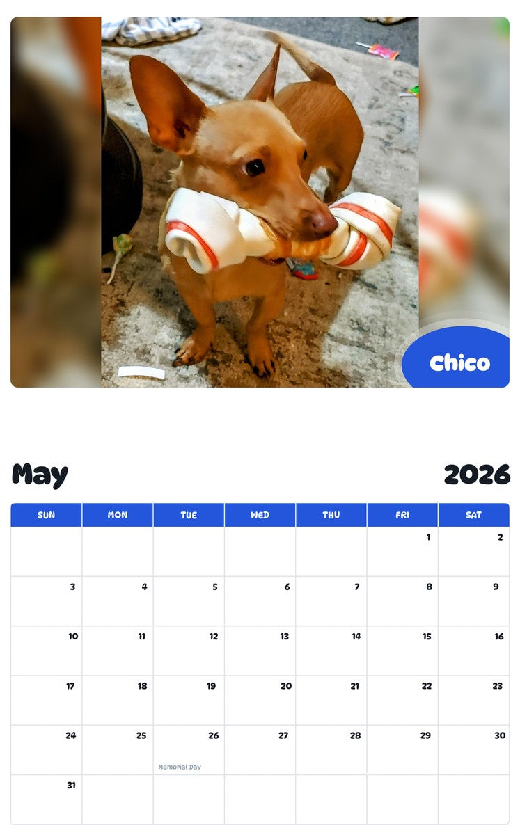 2026 - 2027 Chico - Pawidols Pet Calendar