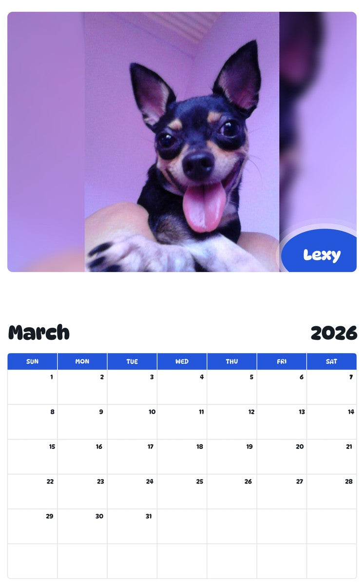 November 2025 - October 2026 Lexy - Pawidols Pet Calendar