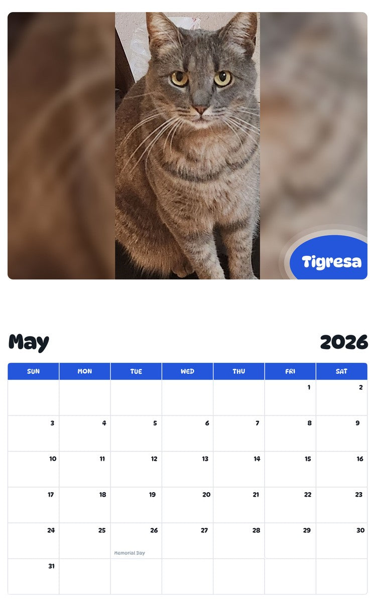 2026 - 2027 Tigresa - Pawidols Pet Calendar