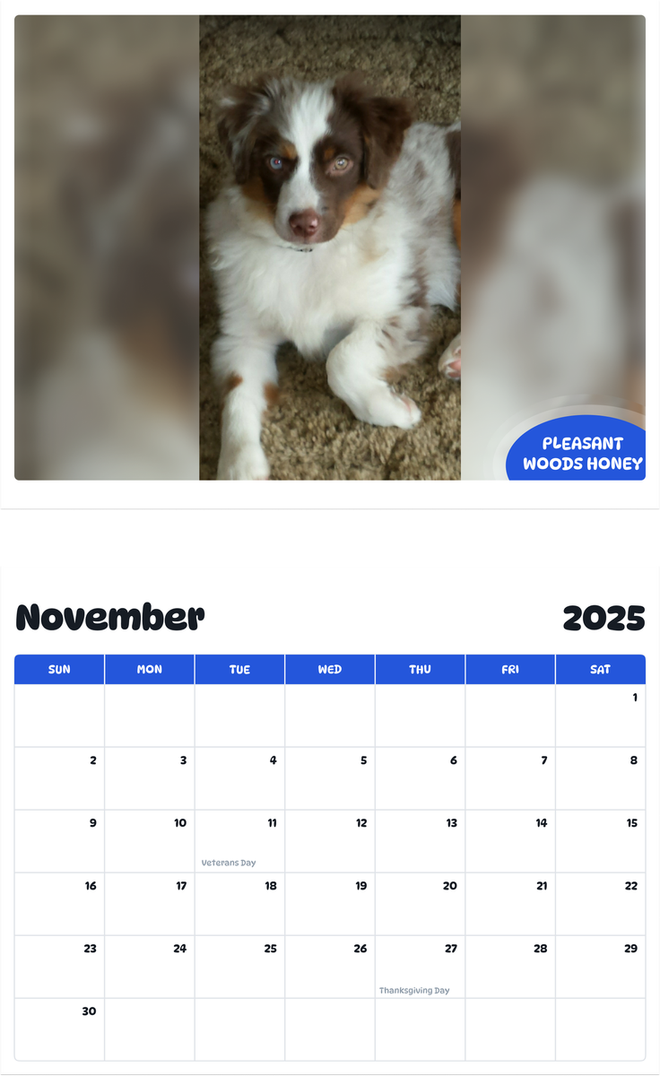 July 2025 - June 2026 Pleasantwoods Honey - Pawidols Pet Calendar