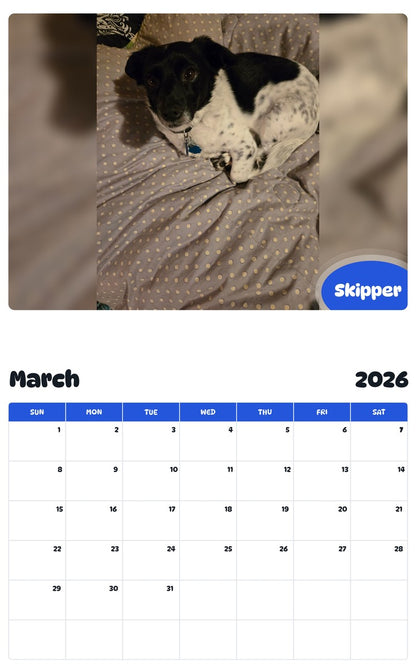 November 2025 - October 2026 Skipper - Pawidols Pet Calendar