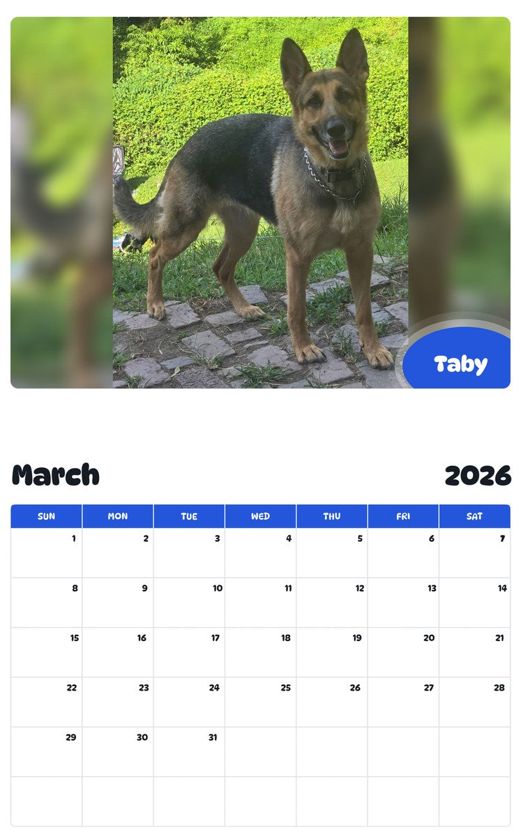 November 2025 - October 2026 Taby - Pawidols Pet Calendar