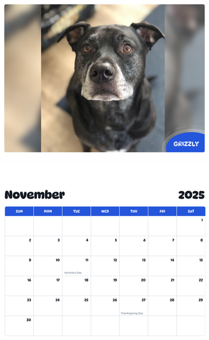 July 2025 - June 2026 Grizzly - Pawidols Pet Calendar