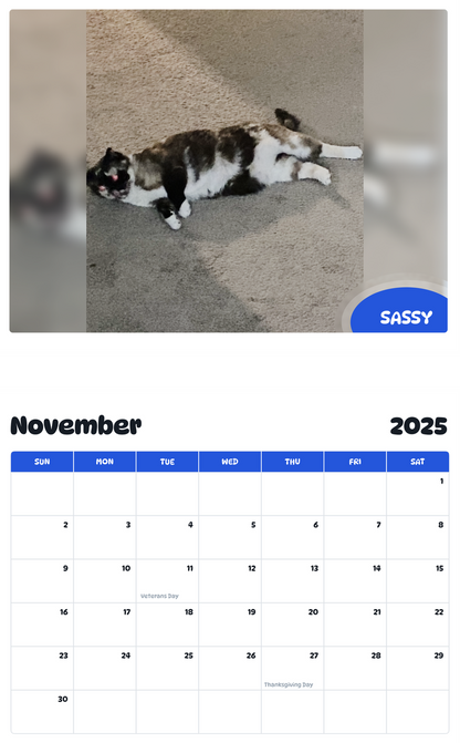 July 2025 - June 2026 Sassy - Pawidols Pet Calendar
