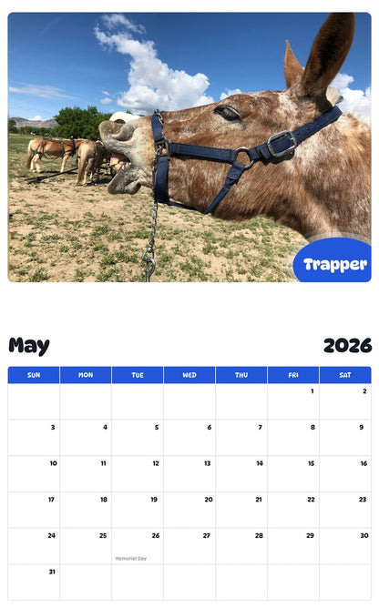 2026 - 2027 Trapper - Pawidols Pet Calendar