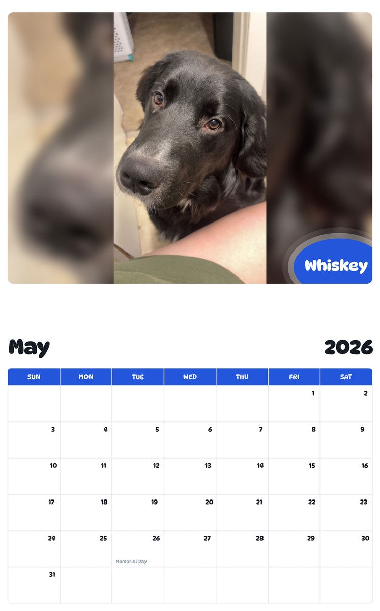 2026 - 2027 Whiskey - Pawidols Pet Calendar