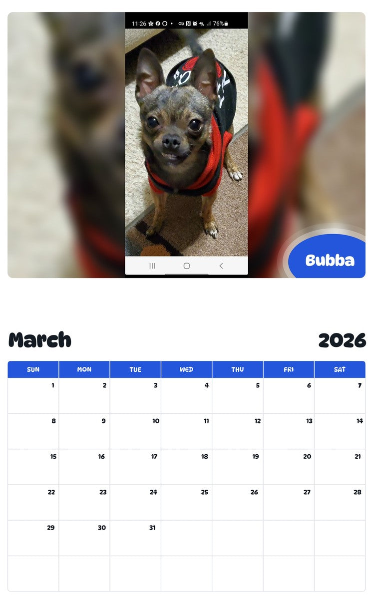 November 2025 - October 2026 Bubba - Pawidols Pet Calendar