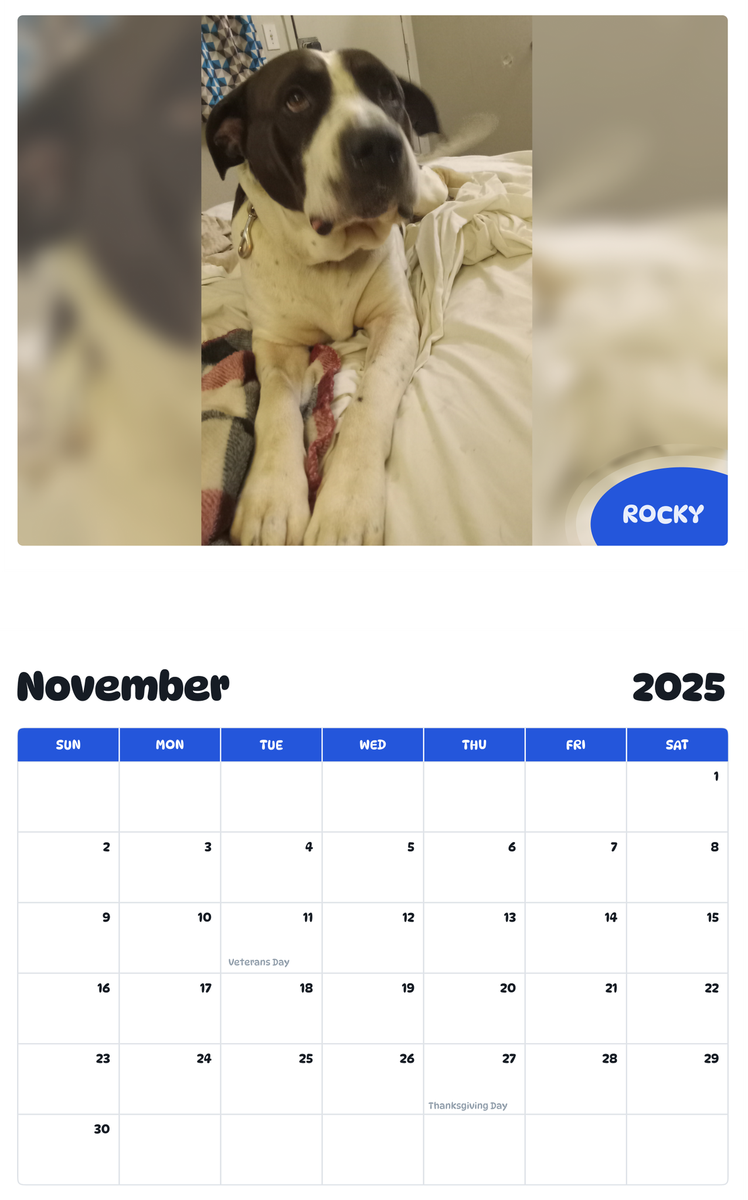 July 2025 - June 2026 Rocky - Pawidols Pet Calendar