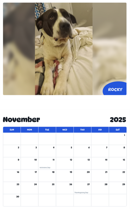 July 2025 - June 2026 Rocky - Pawidols Pet Calendar
