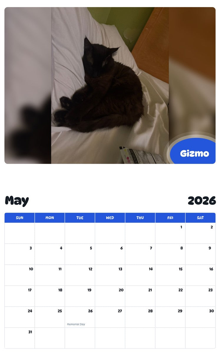 2026 - 2027 Gizmo - Pawidols Pet Calendar