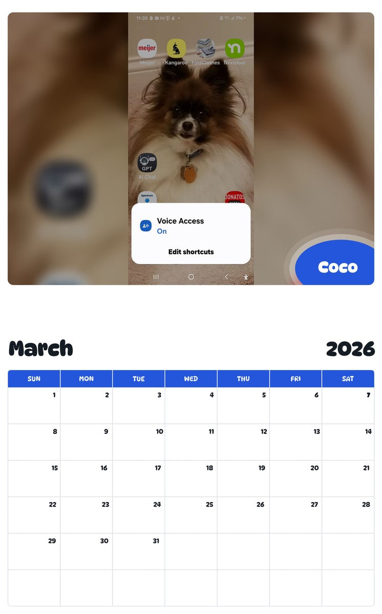 November 2025 - October 2026 Coco - Pawidols Pet Calendar