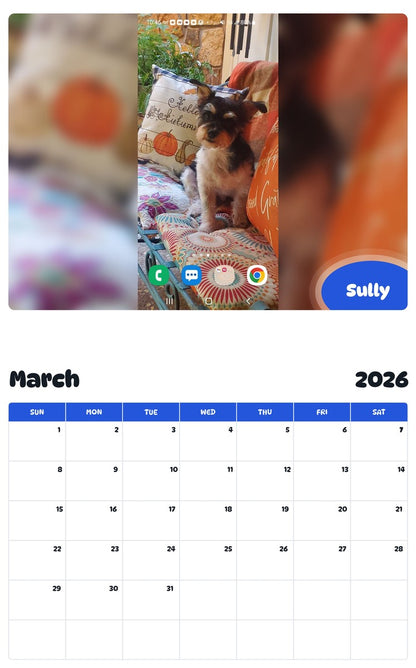 November 2025 - October 2026 Sully - Pawidols Pet Calendar