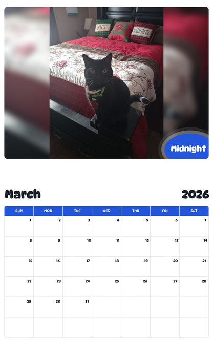November 2025 - October 2026 Midnight - Pawidols Pet Calendar