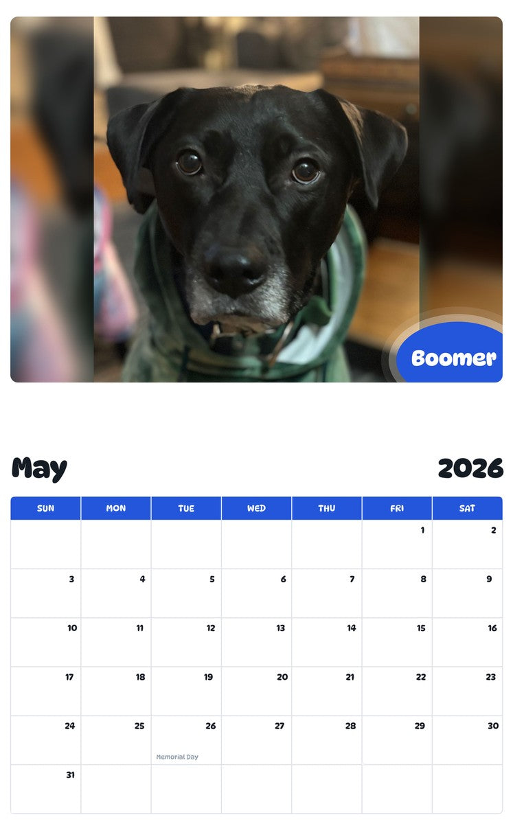 2026 - 2027 Boomer - Pawidols Pet Calendar