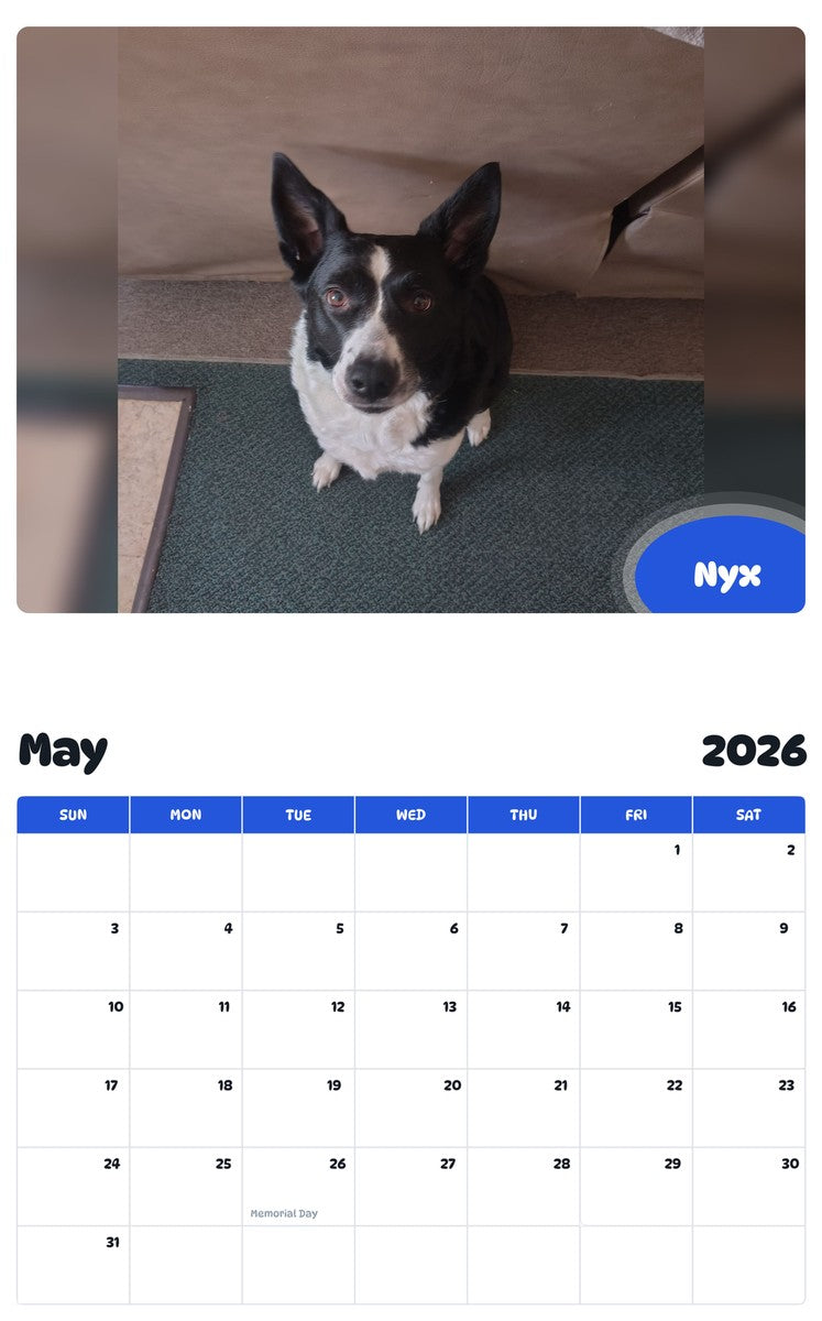 2026 - 2027 Nyx - Pawidols Pet Calendar