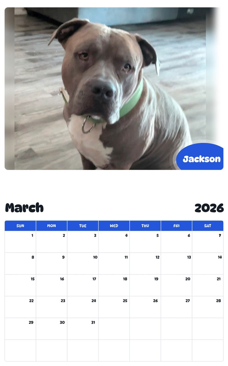 November 2025 - October 2026 Jackson - Pawidols Pet Calendar