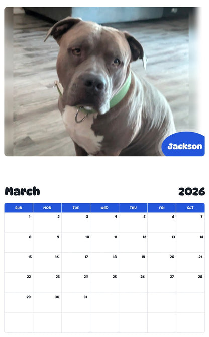 November 2025 - October 2026 Jackson - Pawidols Pet Calendar