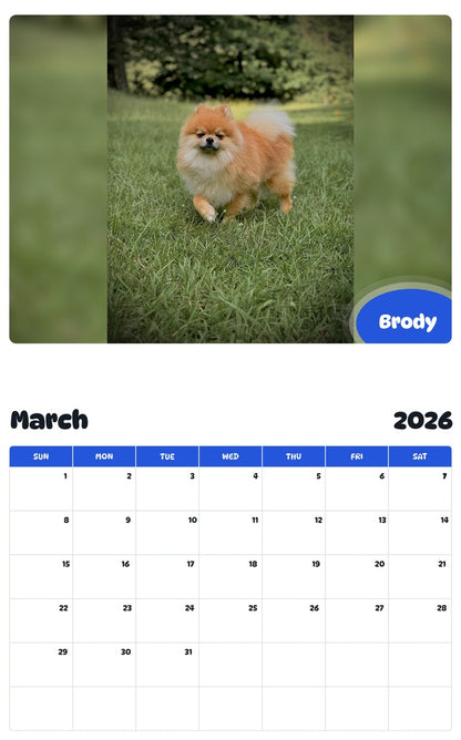 November 2025 - October 2026 Brody - Pawidols Pet Calendar