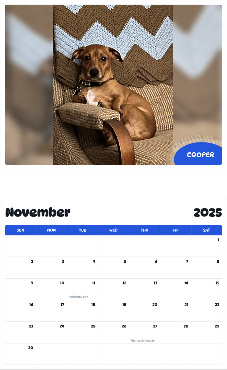 July 2025 - June 2026 Cooper - Pawidols Pet Calendar