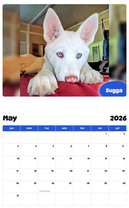 2026 - 2027 Sugga - Pawidols Pet Calendar