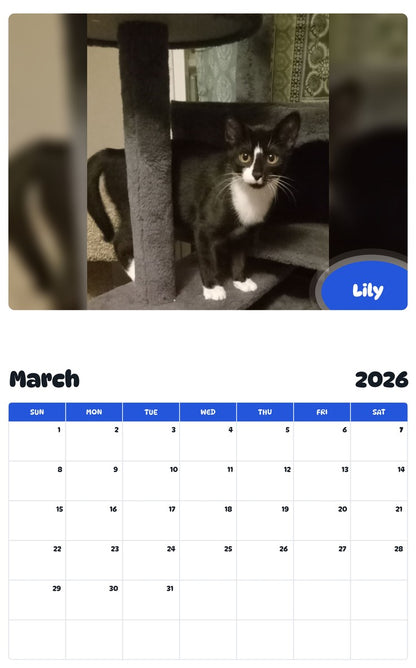 November 2025 - October 2026 Lily - Pawidols Pet Calendar