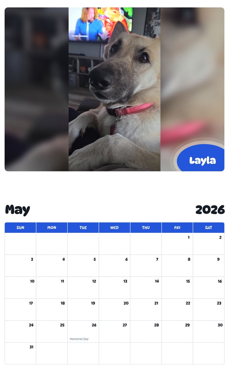 2026 - 2027 Layla - Pawidols Pet Calendar