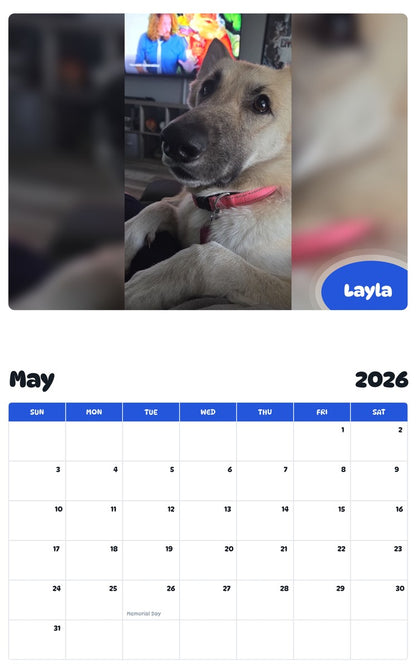 2026 - 2027 Layla - Pawidols Pet Calendar