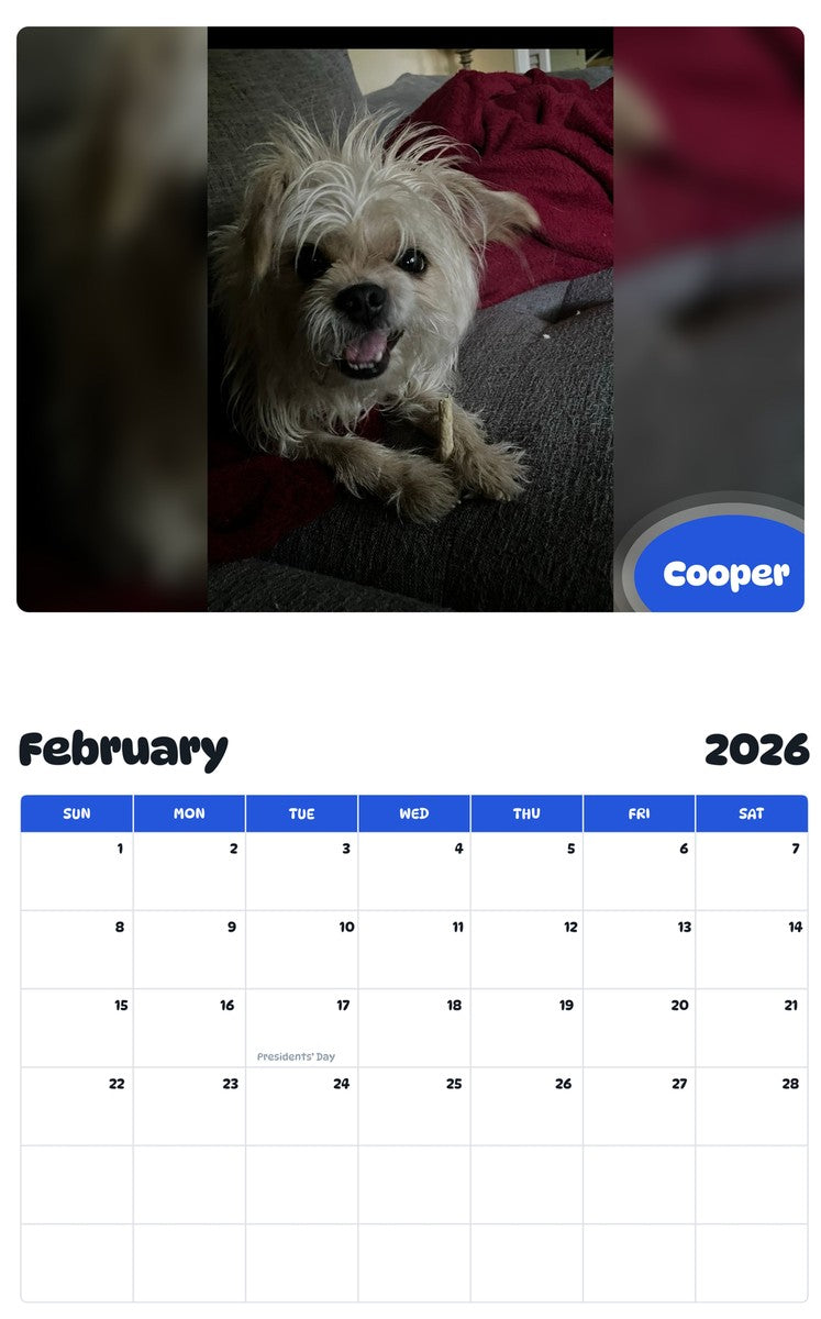 November 2025 - October 2026 Cooper - Pawidols Pet Calendar