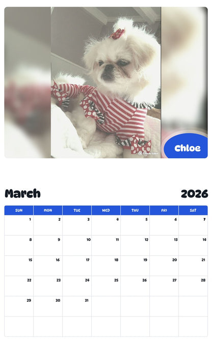 November 2025 - October 2026 Chloe - Pawidols Pet Calendar