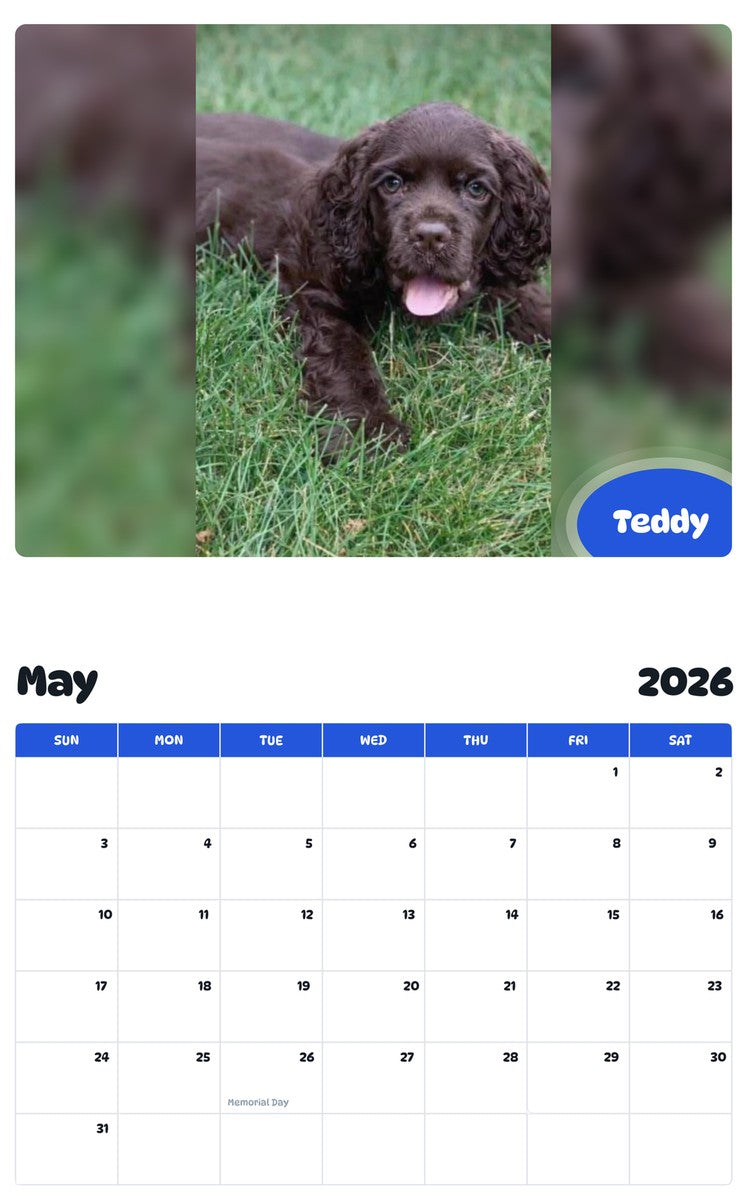 2026 - 2027 Teddy - Pawidols Pet Calendar