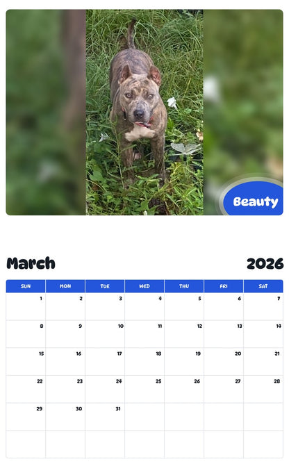 November 2025 - October 2026 Beauty - Pawidols Pet Calendar