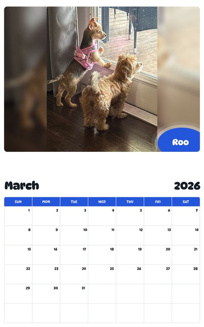 November 2025 - October 2026 Roo - Pawidols Pet Calendar